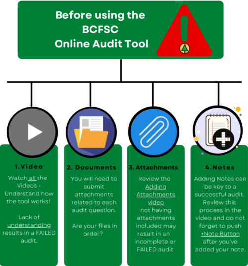 How to use the Online Audit Tool (2)