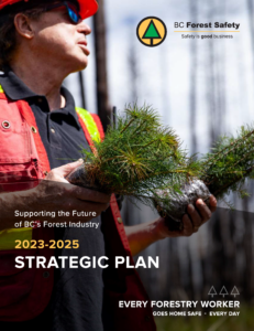 2023-2025StrategicPlanFrontPageImage
